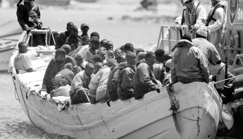 Inmigración y xenofobia