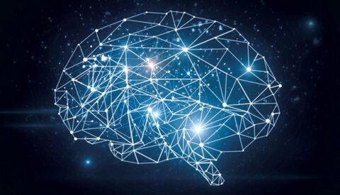 El cerebro del futuro