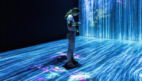 Transformación digital y derechos humanos: una actualización necesaria