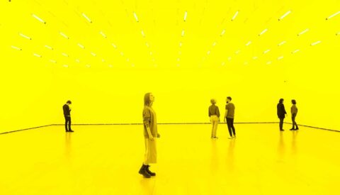 Cómo educar a través del arte para un mundo más sostenible