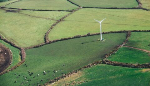 Renovables sí, pero no a costa de la biodiversidad