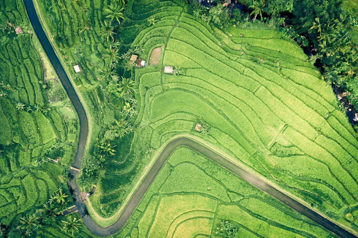 El delicado vínculo entre economía y biodiversidad