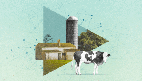 Granjas ‘Next Generation’: de la España Vacía a la España de las oportunidades