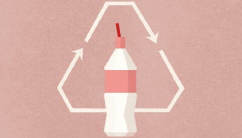 La innovación en una botella (de papel)