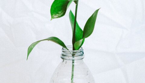 Cómo lograr que el plástico sea nuestro mejor aliado