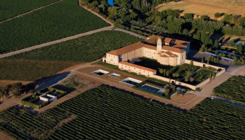 Sardón de Duero: un lugar con el que soñar