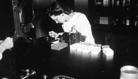 ¿Quiénes firman los estudios? Sesgos de género en todas las disciplinas científicas