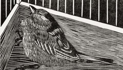 Cuando la libertad nos aterra