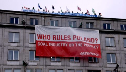 10 acciones ecologistas que transformaron nuestro planeta