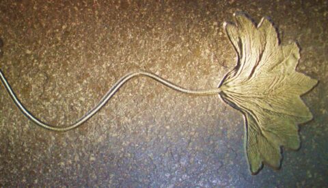 Algunos de los seres más extraños que han habitado la Tierra