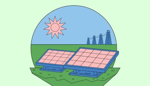 Plantas solares y biodiversidad: el reto de una transición sostenible