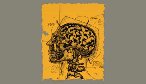 Cinco escritoras que transforman las reglas de la ciencia ficción