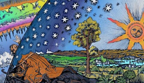 El bosque de la Fylosofía