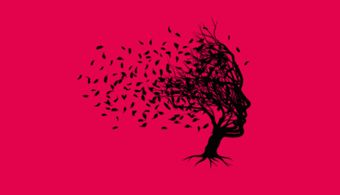 Viaje a tierras inimaginables