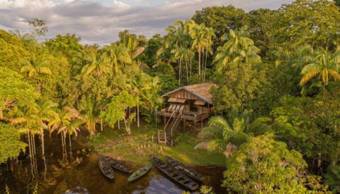Amazonia: el lugar donde sucede el asombro