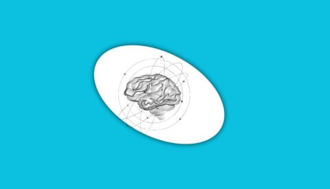 El cerebro humano ha crecido en las últimas décadas: ¿significa que somos más inteligentes?