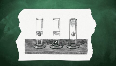 Nueve leyes de la física que afectan a tu vida diaria