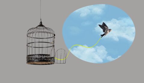 Sentirse libre entre rejas