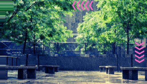 Árboles urbanos para salvar vidas  