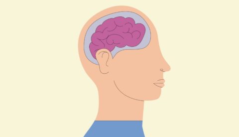 Los sesgos cognitivos